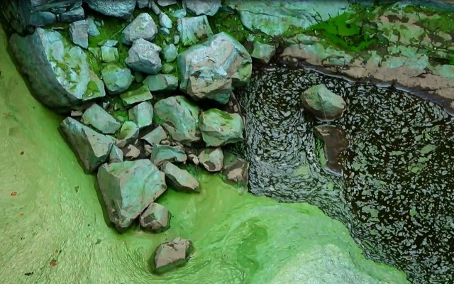 Bretagne, une terre sacrifiée