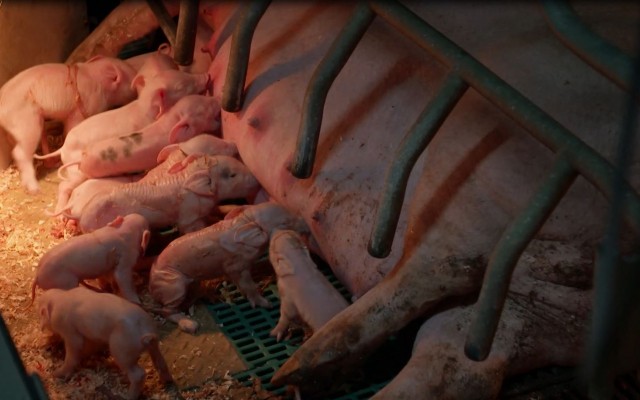 Bretagne, une terre sacrifiée