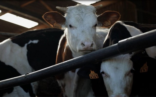 Bretagne, une terre sacrifiée