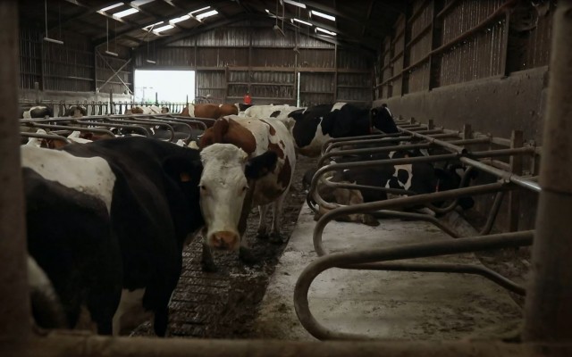 Bretagne, une terre sacrifiée