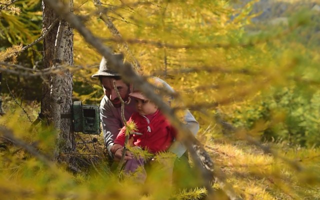 Naïs in the land of wolves