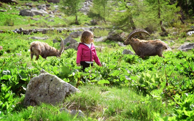 Naïs in the land of wolves