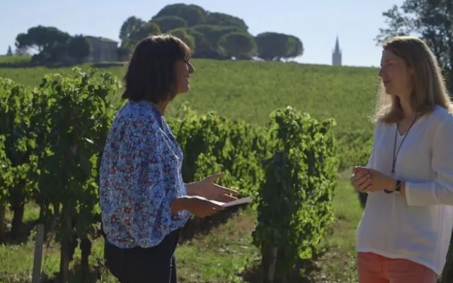 BIS le magazine de la curiosité