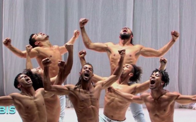 BIS le magazine de la curiosité