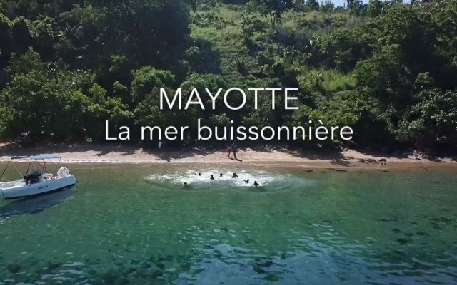 Mayotte, la mer buissonnière