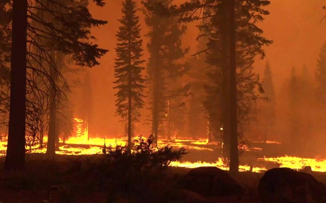 Mégafeux, le nouvel âge du feu
