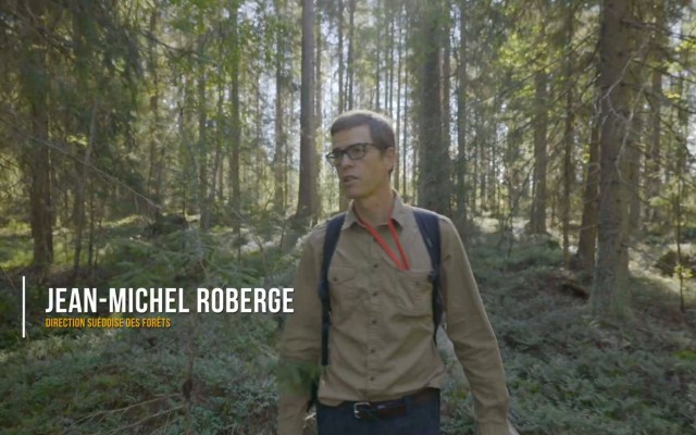 Mégafeux, le nouvel âge du feu