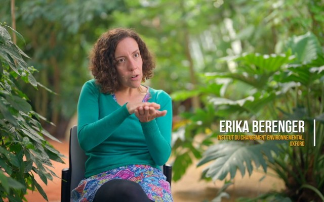 Mégafeux, le nouvel âge du feu