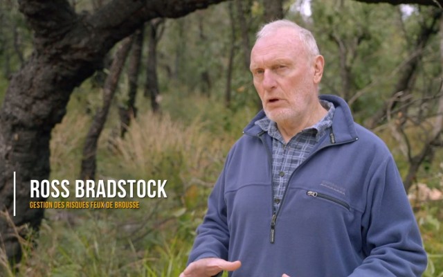 Mégafeux, le nouvel âge du feu