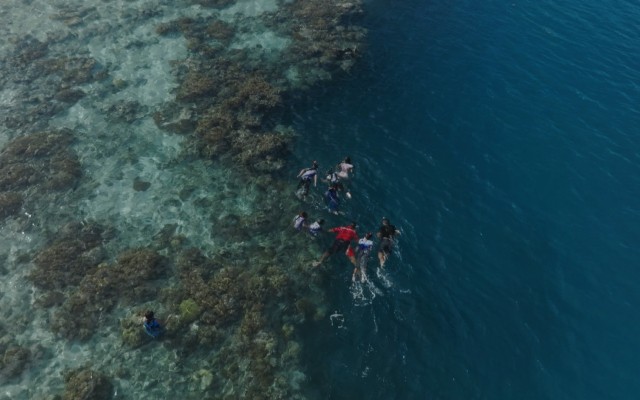 Wallis et Futuna, aux frontières de la mer