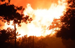 Aperçu de Incendies dans le Var : au cœur du brasier