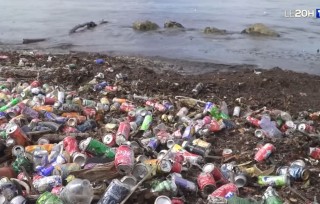 Aperçu de Grève des éboueurs, mobilisation bénévole à Marseille