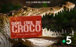 Affiche de Dans l'oeil du croco