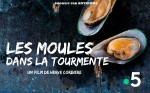 Affiche de Les moules, reines des coquillages