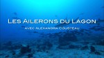 Poster of Alexandra Cousteau faces the sharks