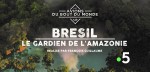 Affiche de BRESIL : Le gardien de l’Amazonie