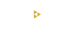 Digivision